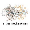 ManeStream Salon image 4
