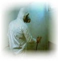 Manhattan Mold Removal and Mold Inspections and Mold Testing logo