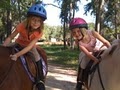 Millbrook Equestrian - Horseback Riding Lessons image 2