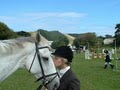 Millbrook Equestrian - Horseback Riding Lessons image 5