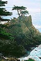 Monterey California tours image 6