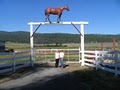 Mountain House Stables image 2