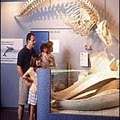 Museum of Science & History image 1