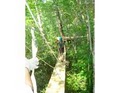 Nantahala Gorge Canopy Tours image 1