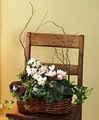 Nature's Gallery Florist, Inc. image 3