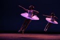 Neglia Conservatory of Ballet image 1