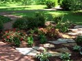 New Seasons Landscaping & Irrigation image 3