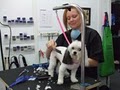 Noah's Ark Animal Clinic & Canine Salon image 4