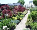North Shore Garden Center image 6