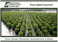 Northwest Professional Landscape image 8