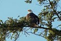 Outer Island Expeditions image 2