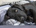 Paws at Home, Dog Boarding,Dog Day Care, Pet Sitting logo