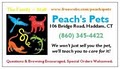 Peach's Pets image 2
