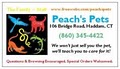 Peach's Pets image 2