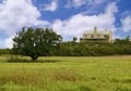 Pear Tree Game Ranch image 9