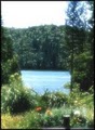 Peninsula Camping & Boating Resort on Rollins Lake image 1