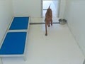 Pet Resorts of America image 10