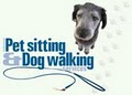 Pet Sitter Boca Raton - Dog Walker Pet Sitting Cat Sitting Dog Boarding Sitter image 4