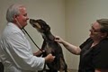 Pet Vet Hospital and Wellness Center image 2