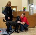 PetSuites® (Dog Boarding) image 2