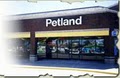Petland of Largo image 1