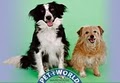 Petworld image 1