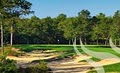 Pine Barrens Golf Club image 4