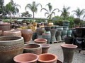 Plant Depot image 4