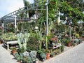 Plant Depot image 8