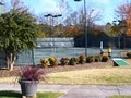 Racquet Shop, LLC image 6