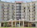 Ramada image 8