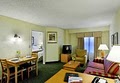 Residence Inn by Marriott Detroit/Novi image 6