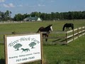 River Birch Farm Equestrian Center logo