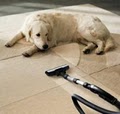 San Jose carpet & rug cleaners logo