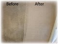 Sav-On Carpet Cleaners & Water Restoration image 8
