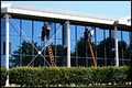 Shine Bright Window Cleaning - Atlanta Window Cleaning image 3