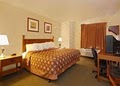 Sleep Inn Airport image 8