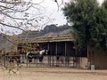 Smoke Tree Stables image 1