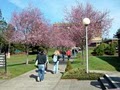Southwestern Oregon Community College image 1