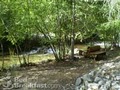 Streamside Bed & Breakfast image 2