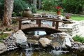 Sublime Water Gardens/Pond Depot image 3