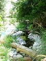 Sublime Water Gardens/Pond Depot image 4