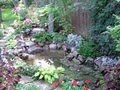 Sublime Water Gardens/Pond Depot image 1