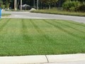 Summit Lawn care and Landscaping image 4