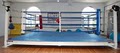Sweet Science Boxing image 2