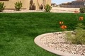 Synthetic Turf Company image 2