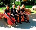 THE DENVER STRING QUARTET image 5