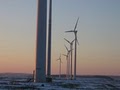 TTS Renewable, Inc. image 1