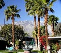 Terra Cotta Inn Clothing Optional Resort and Spa, Palm Springs, California image 3