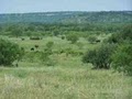 Texas Home and Ranch Real Estate image 1
